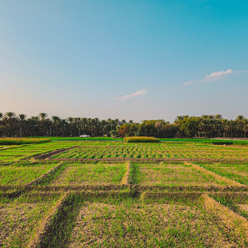 Agricultural land