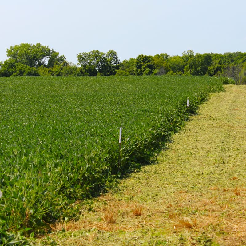 Agricultural land
