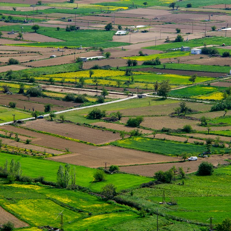 Agricultural land