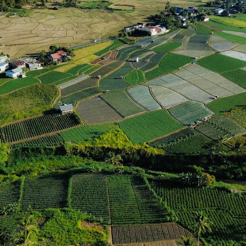 Agricultural land